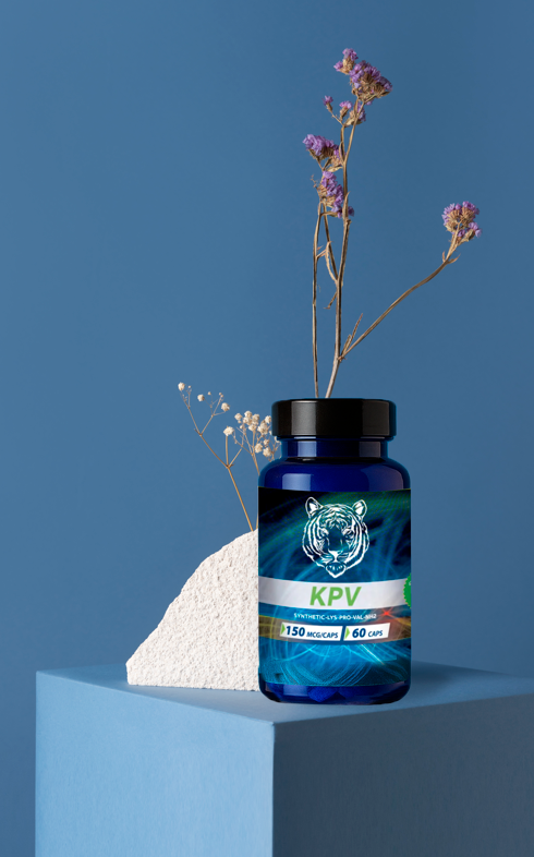 KPV: A Peptide for Inflammation Control & Healing
